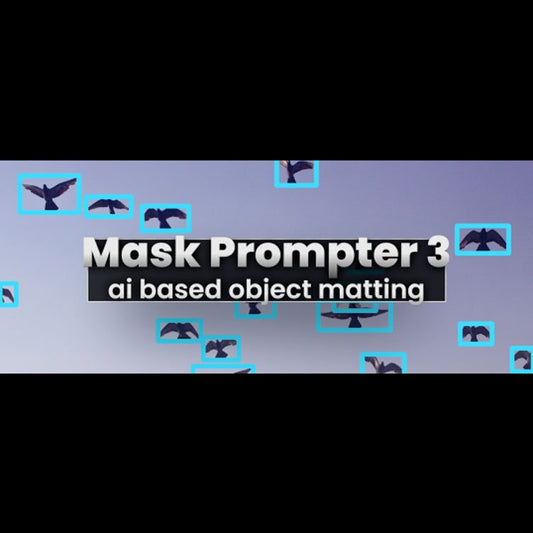 Mask Prompter