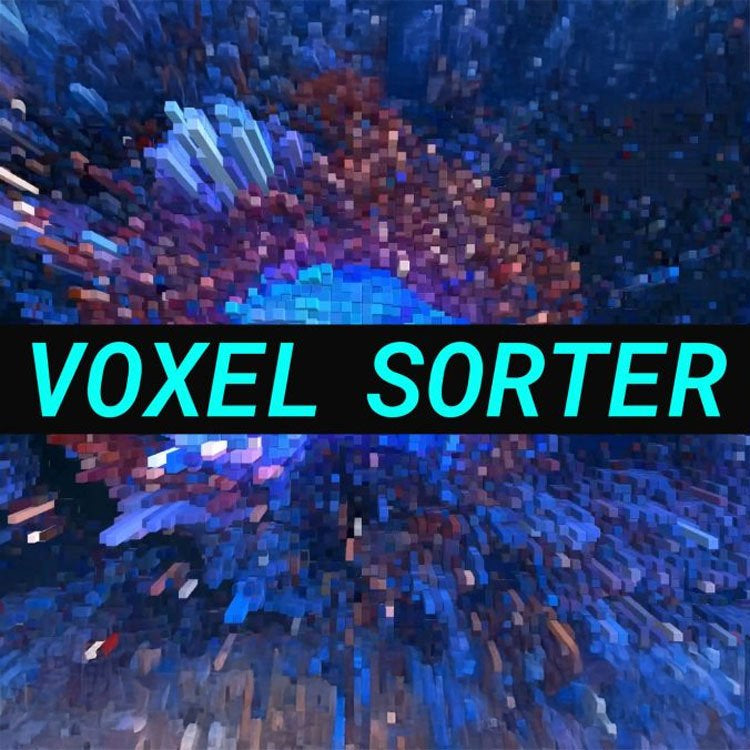 Voxel Sorter
