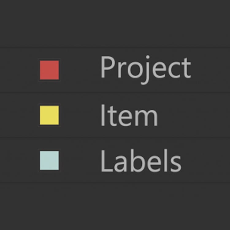 Project Item Labels
