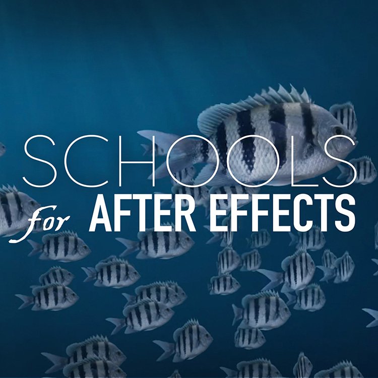 Creation Effects: Schools
