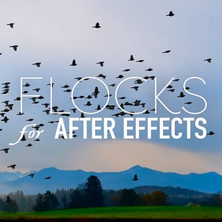Creation Effects: Flocks