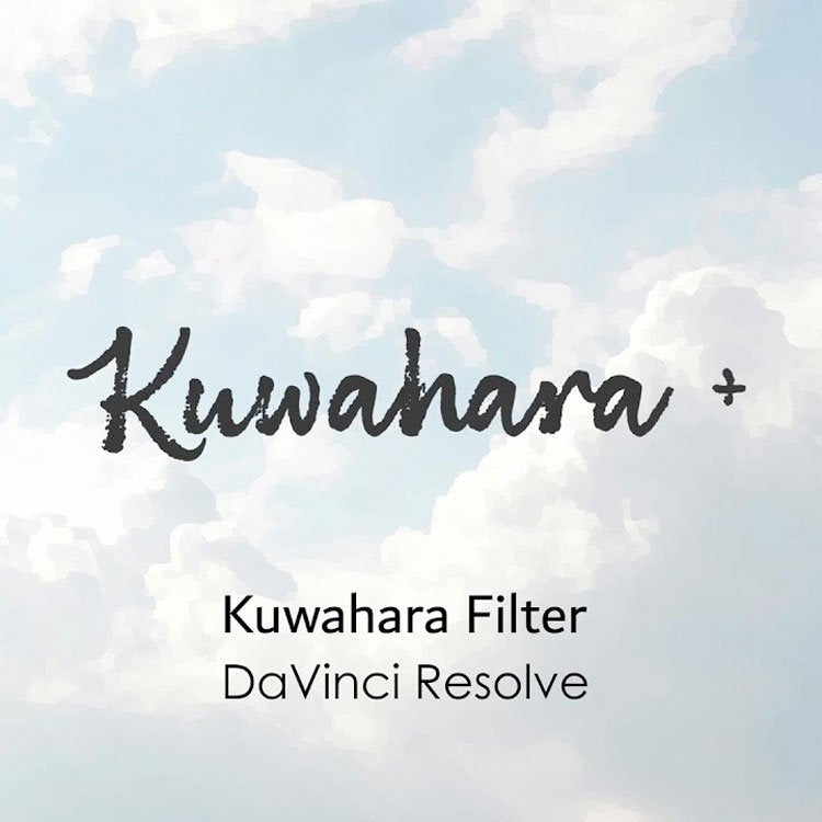 Kuwahara+ DCTL Plugin For DaVinci Resolve – Toolfarm Japan