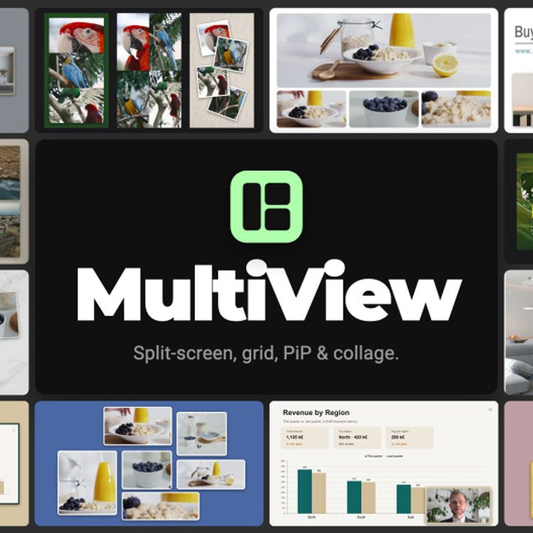 MultiView