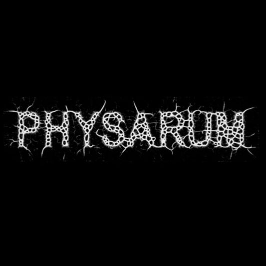 Zaebects Physarum