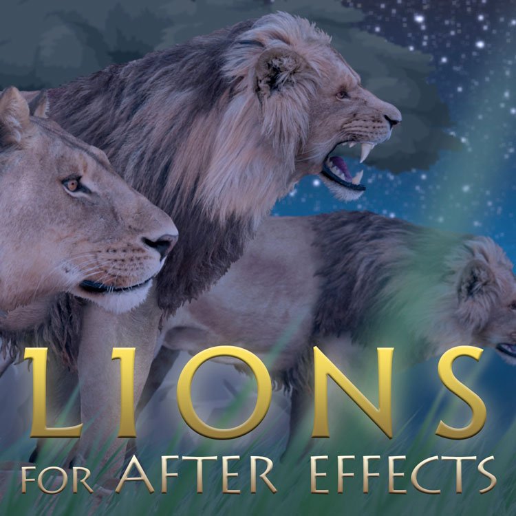 Creation Effects: Lions