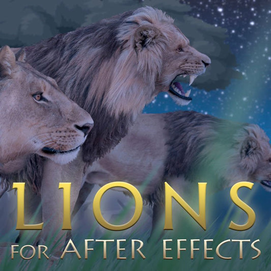 Creation Effects: Lions