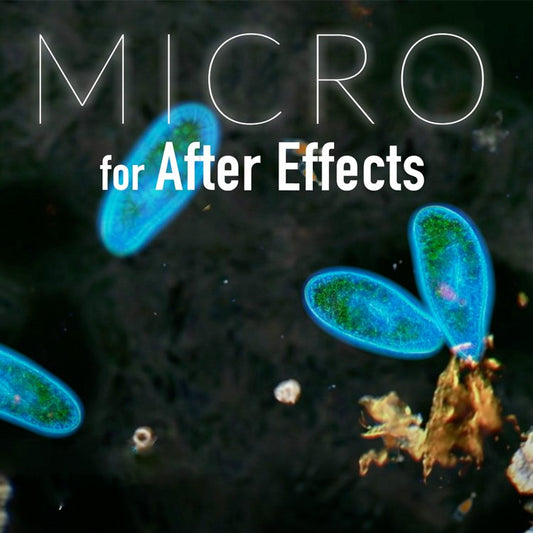 Creation Effects: Micro