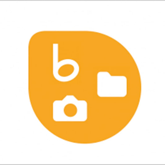 mamoworld Editing Essentials Bundle